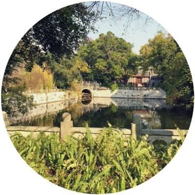 宫廷逆袭记游戏